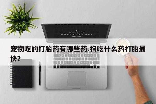 网上卖打胎药微信的联系方式宠物吃的打胎药有哪些药.狗吃什么药打胎最快？