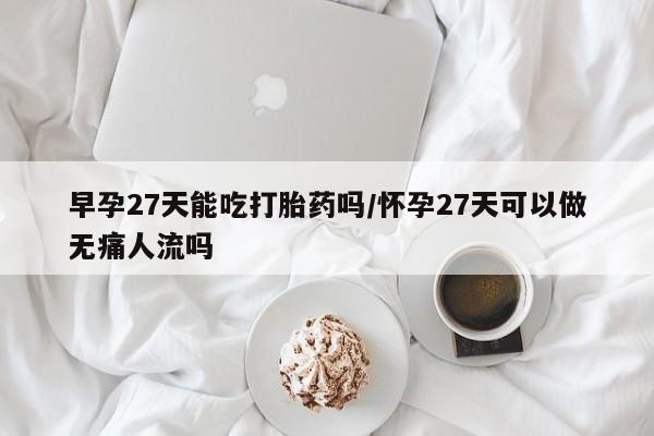 网上卖打胎药微信的联系方式早孕27天能吃打胎药吗/怀孕27天可以做无痛人流吗