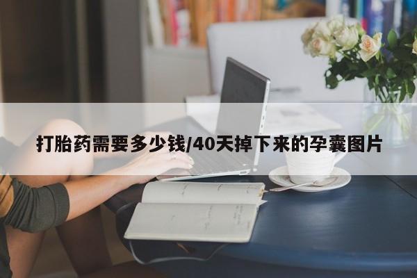 网上卖打胎药微信的联系方式打胎药需要多少钱/40天掉下来的孕囊图片